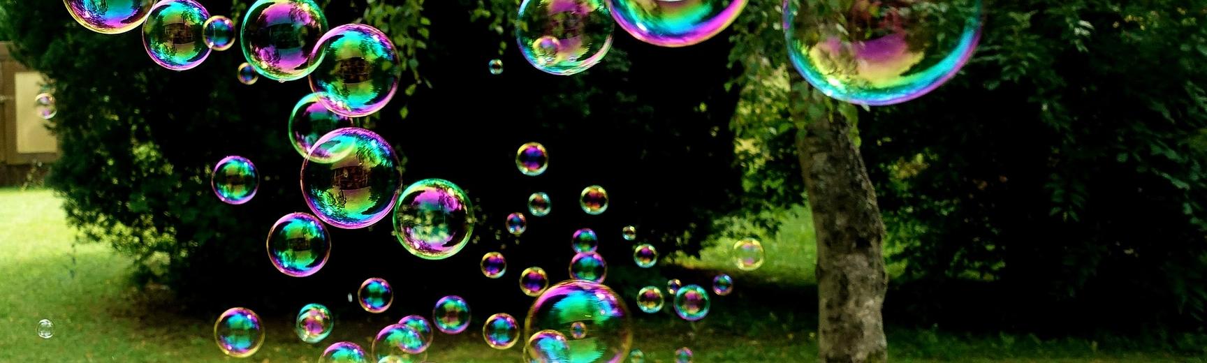 Soap bubbles in a garden